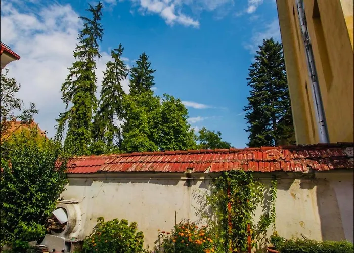 アパート Muresenilor Central ブラショフ