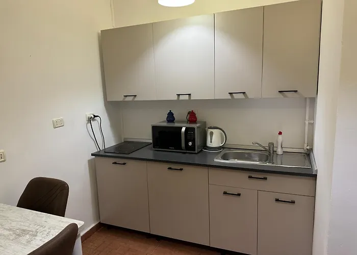 アパート Muresenilor Central ブラショフ